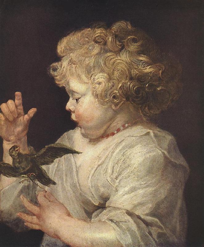 RUBENS, Pieter Pauwel Boy with Bird